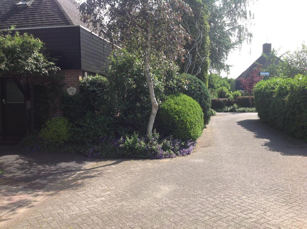 B&B Molenzicht Warnsveld Exterior photo
